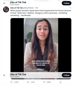 tiktok2.png