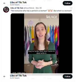 tiktok3.png
