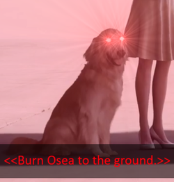 ae4.png