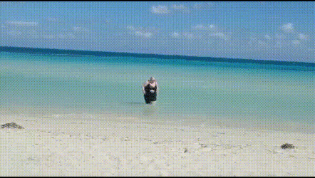 beach04.gif
