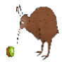 Kiwi.png