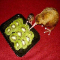 kiwieatskiwi.png