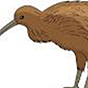 bird2 88px (7).png