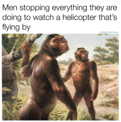 heli spotted.png