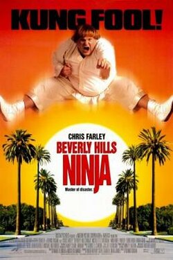 Beverly_Hills_Ninja_poster.jpg