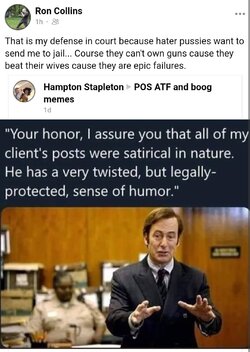 rcollins-satirical.jpeg