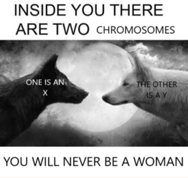 1625849767934.png