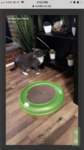 3C1616CD-21D3-4315-B7D3-9EB388820318.png