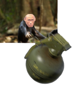 1648512781581.png