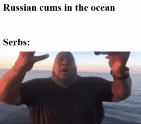 1648513210534.gif