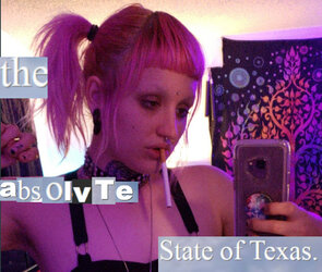 the_absolute_state of_texas.jpg