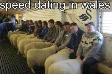welsh_speed_dating.png