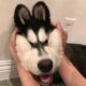 SQUISH.jpg