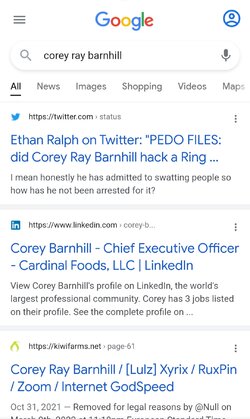 zoom google search.jpg