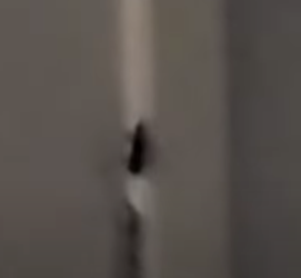 1648912903241.png