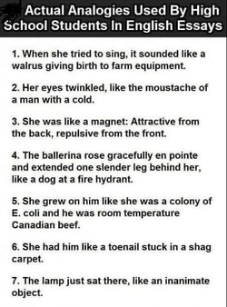 actual analogies used in english essays.png