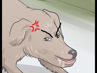 NullMad.jpg