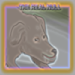 51BB9D16-7912-439D-B213-EE19EDB7E874.png