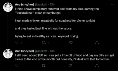 Screenshot 2022-04-04 at 09-48-40 Tweets with replies by Ace (she_her) (@acekatt) _ Twitter.png