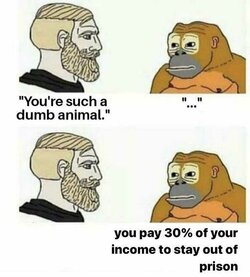 1649085299435.jpg