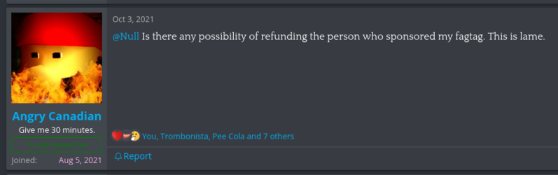 Screenshot 2022-04-04 at 16-48-23 Angry Canadian appreciation thread.png
