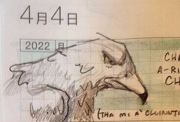 20220404_172028.jpg