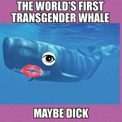 2FAFD6F2-5C60-4341-AB76-B4684F069865.jpeg