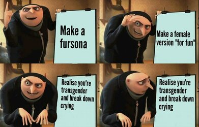 yijnv75ff2n01.jpg