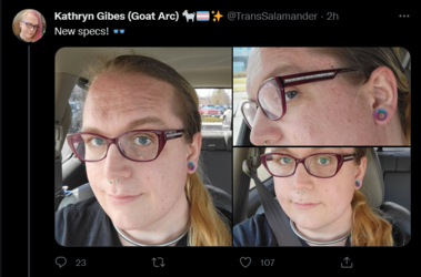 Screenshot 2022-04-06 at 00-19-31 Tweets with replies by Kathryn Gibes (Goat Arc) 🐐🏳️‍⚧️✨ (@Tr...png