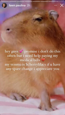 medbillsveemo.jpeg