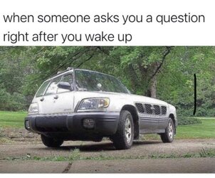 PNE8xtmxIzNv.jpeg