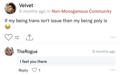 Velvet post 2.jpg