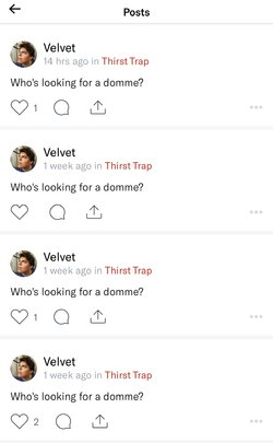 Velvet post.jpg