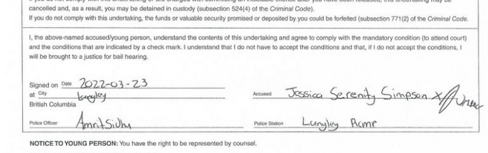 Screenshot 2022-04-08 at 17-23-02 Jessica Yaniv Simpson Arrest Warrant Criminal Documents Meow...png