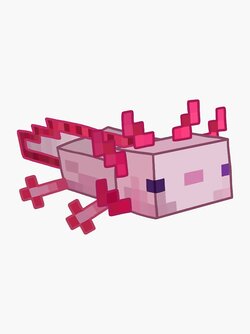 axolotl cubed.jpg