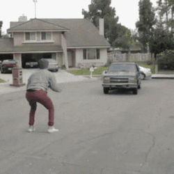 cat driving car.gif