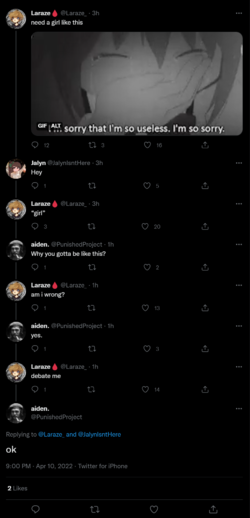 aproj12.png