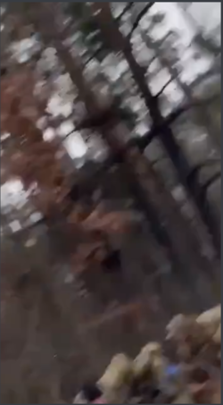 Screenshot (111).png
