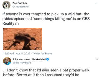 bat.png