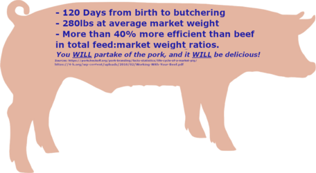 TheBigPig.png