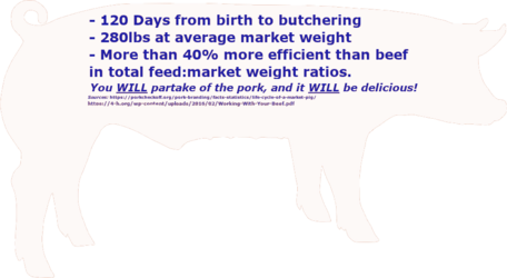 TheBigPig-White.png