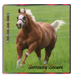 seriouslysecure2013-6.png