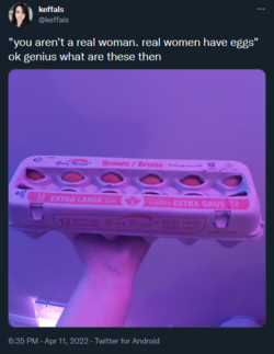 1649728124425.png
