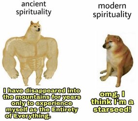 278090411_2056573701190583_3364000145025973025_n.jpg