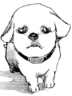 Bakin_Infobox.png