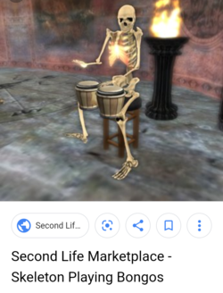 bongoes.png