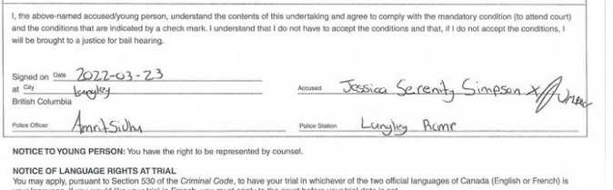 Screenshot 2022-04-13 at 07-08-42 Jessica Yaniv Simpson Arrest Warrant Criminal Documents Meow...png