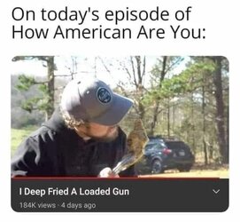american deep fry gun.jpg