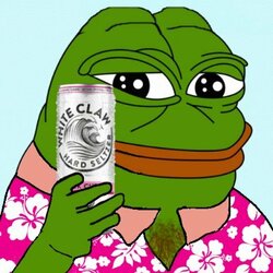 1613440503436.jpg