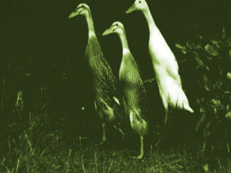 0C1D5AC8-3650-4AF4-8DA7-2853282B8FA8.png